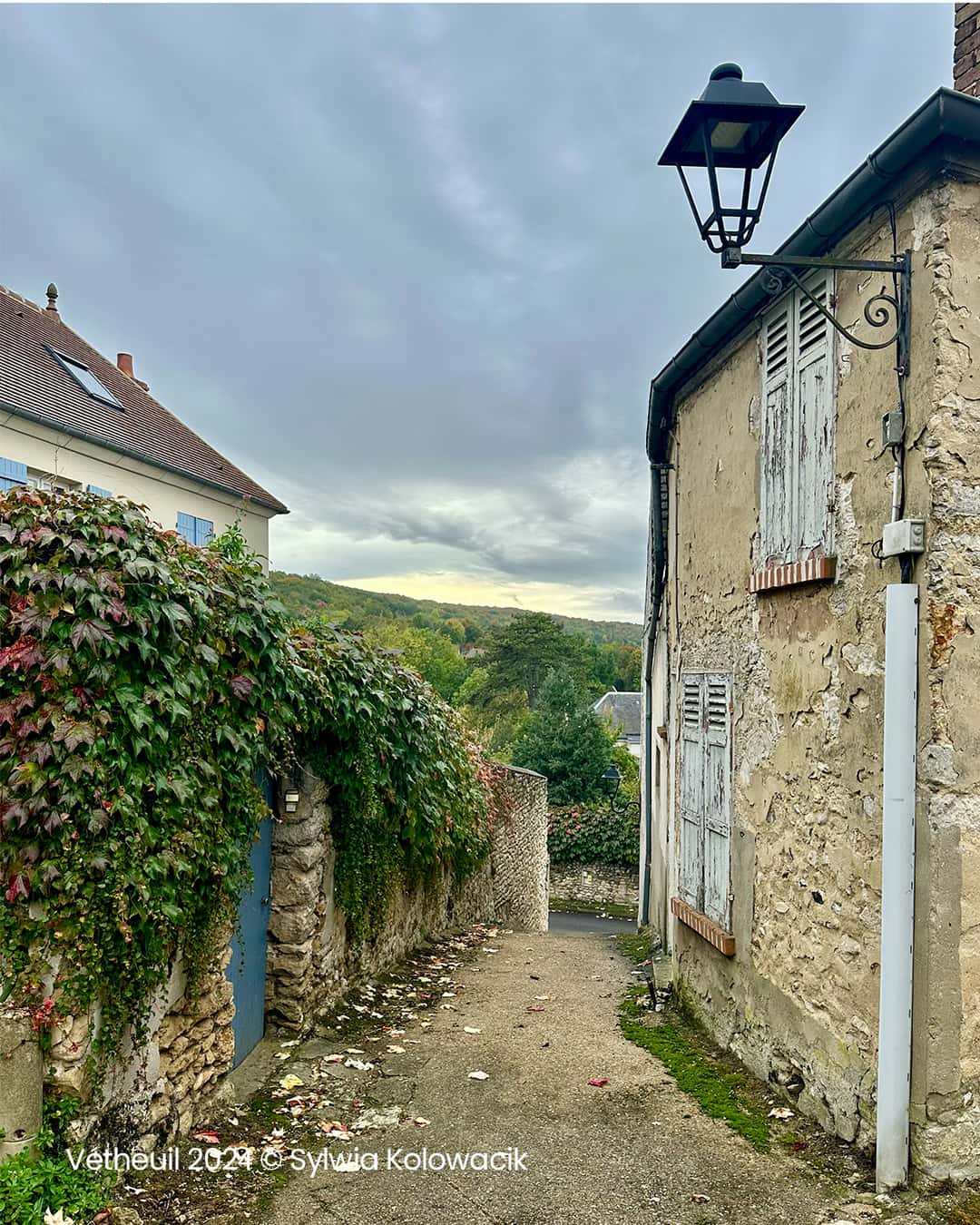 Sur les pas de de Monet