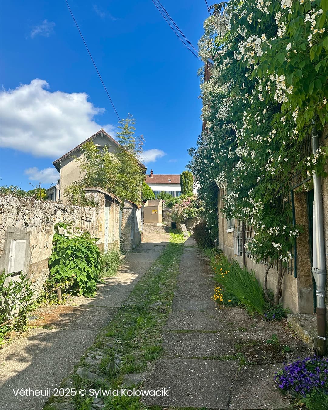Monet, de Vétheuil à Giverny 