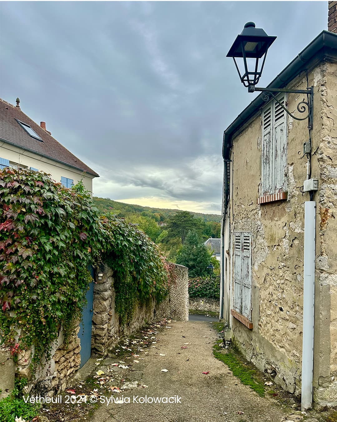 Sur les pas de de Monet - photo 1