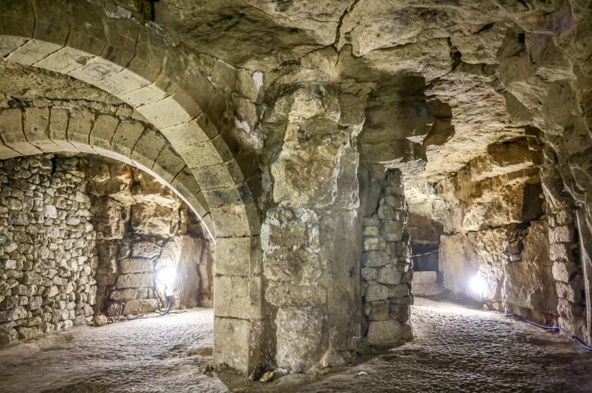 Nos séminaires - photo 3